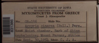 Image Associated With the Occurence